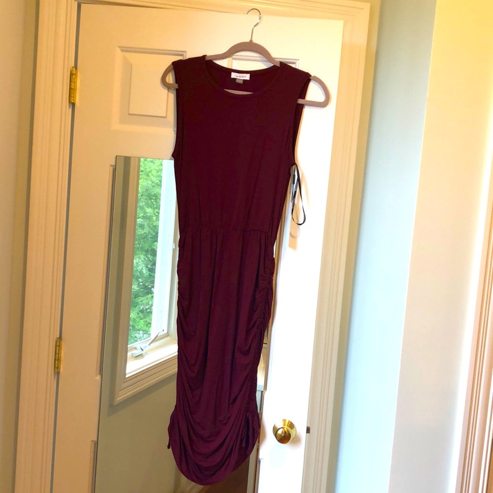 Calvin Klein Burgundy Dress NWT
